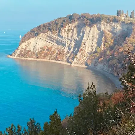 Apartma Sinitus Apartament Izola