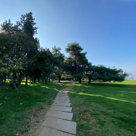 Apartma Sinitus Apartma