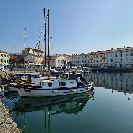 Apartament Apartma Sinitus