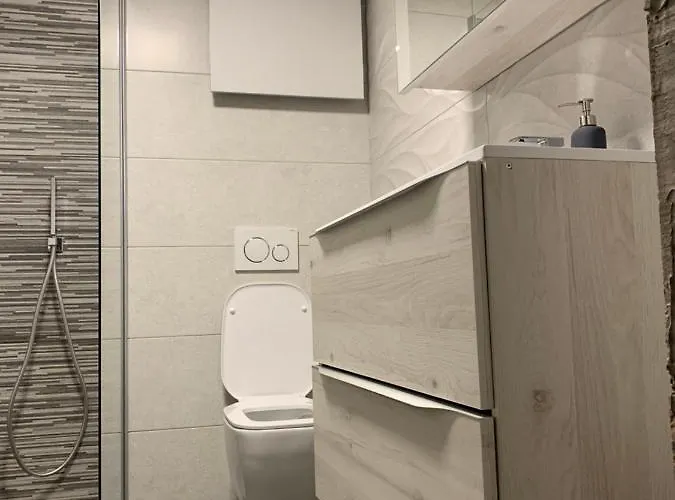 Apartma Sinitus アパート