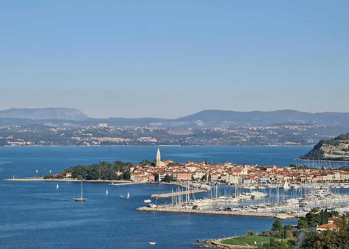 Apartma Sinitus アパート